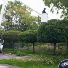 Entreprises 10 image BRANCHES TREE SERVICE Tree Work & Forestry Services dans Bowmanville ON