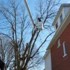 Entreprises 13 image BRANCHES TREE SERVICE Tree Work & Forestry Services dans Bowmanville ON