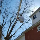 Entreprises 15 image BRANCHES TREE SERVICE Tree Work & Forestry Services dans Bowmanville ON