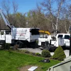 Entreprises 17 image BRANCHES TREE SERVICE Tree Work & Forestry Services dans Bowmanville ON