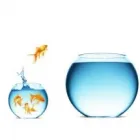 Business 5 image BRANDING FIRST INC Web Design & Development in Red Deer AB