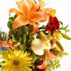 Business 6 image BRANT FLORIST Shopping in Burlington ON
