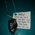 Business 4 image BRASSY LASSY INC Shopping in St John’s NL