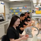 Business 5 image BROOKSWOOD DENTURE CLINIC LTD Health & Medicine in Langley BC