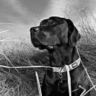 Business 3 image BRUCE JOLLIMORE PHOTOGRAPHY Photographers & Photo Studios in Dartmouth NS