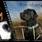 Business 26 image BRUCE JOLLIMORE PHOTOGRAPHY Photographers & Photo Studios in Dartmouth NS