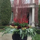 Entreprises 1 image BULOW GARDEN CENTRE MISSISSAUGA Shopping dans Mississauga ON