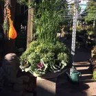 Entreprises 8 image BULOW GARDEN CENTRE MISSISSAUGA Shopping dans Mississauga ON