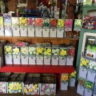 Entreprises 9 image BULOW GARDEN CENTRE MISSISSAUGA Shopping dans Mississauga ON