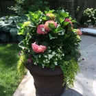 Entreprises 18 image BULOW GARDEN CENTRE MISSISSAUGA Shopping dans Mississauga ON