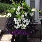 Entreprises 20 image BULOW GARDEN CENTRE MISSISSAUGA Shopping dans Mississauga ON