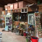 Entreprises 4 image BULOW GARDEN CENTRE MISSISSAUGA Shopping dans Mississauga ON