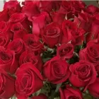 Entreprises 5 image BUNCHES PARK ALLEN PLACE Shopping dans Edmonton AB
