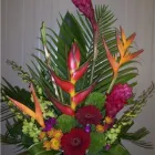 Entreprises 6 image BUNCHES PARK ALLEN PLACE Shopping dans Edmonton AB