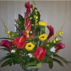 Entreprises 10 image BUNCHES PARK ALLEN PLACE Shopping dans Edmonton AB