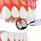 Entreprises 10 image BURNABY SQUARE DENTAL Health & Medicine dans Burnaby BC