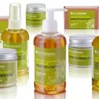 Entreprises 13 image BURST CREATIVE GROUP Web Design & Development dans Vancouver BC