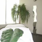 Entreprises 3 image BUTTER N' FLY BODYWORKS RMT CLINIC Massage Therapists dans Brampton ON