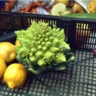 Business 1 image BYWARD FRUIT MARKET Produce Merchants & Markets in Ottawa ON