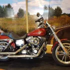 Entreprises 4 image CABOT POWER SPORTS Truck Dealers dans Sydney NS