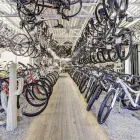 Entreprises 3 image CACTUS BIKE & SKI Sports & Recreation dans Calgary AB