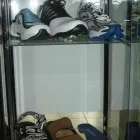 Entreprises 1 image CAIN CHIROPRACTIC Health & Medicine dans Hamilton ON