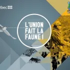 Entreprises 14 image CAMÉLÉON Business & Professional Services dans Québec QC