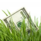 Entreprises 5 image CANADA LAWN CARE PROS Real Estate & Home Improvement dans Edmonton AB