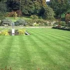 Entreprises 6 image CANADA LAWN CARE PROS Real Estate & Home Improvement dans Edmonton AB