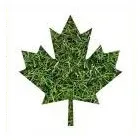 Entreprises 1 image CANADA LAWN CARE PROS Real Estate & Home Improvement dans Edmonton AB