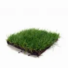 Entreprises 2 image CANADIAN INDEPENDENT SOD CO LTD Turf & Lawn Suppliers dans Richmond Hill ON