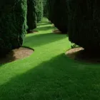 Entreprises 1 image CANADIAN INDEPENDENT SOD CO LTD Turf & Lawn Suppliers dans Richmond Hill ON