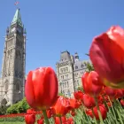 Entreprises 2 image CANADIAN SECURITY TEAM Shopping dans Nepean ON