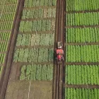 Business 4 image CANADIAN UAV SOLUTIONS INC. Business & Professional Services in Barrie ON