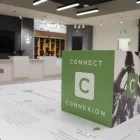 Entreprises 1 image CANNABIS NB Shopping dans Dieppe NB