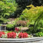 Business 1 image CAPILANO PACIFIC PLANTINGS Real Estate & Home Improvement in Vancouver BC