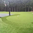 Business 1 image CARE-FREE TURF LTD Real Estate & Home Improvement in Calgary AB