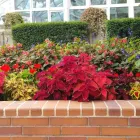 Business 8 image CAREFREE GREENERY LTD Real Estate & Home Improvement in North Vancouver BC