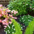 Business 1 image CAREFREE GREENERY LTD Real Estate & Home Improvement in North Vancouver BC