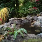 Business 23 image CAREFREE GREENERY LTD Real Estate & Home Improvement in North Vancouver BC