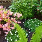 Business 20 image CAREFREE GREENERY LTD Real Estate & Home Improvement in North Vancouver BC