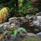 Business 4 image CAREFREE GREENERY LTD Real Estate & Home Improvement in North Vancouver BC