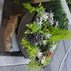 Business 5 image CAREFREE GREENERY LTD Real Estate & Home Improvement in North Vancouver BC