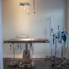 Entreprises 5 image CARTER VETERINARY HOSPITAL Veterinarians dans Bowmanville ON