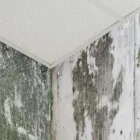 Entreprises 18 image CASCADE ENVIRONMENTAL CONSULTING LTD Real Estate & Home Improvement dans Edmonton AB