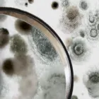 Entreprises 20 image CASCADE ENVIRONMENTAL CONSULTING LTD Real Estate & Home Improvement dans Edmonton AB