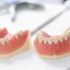 Business 5 image CATHEDRAL DENTAL CENTRE Health & Medicine in Winnipeg MB