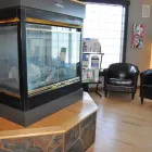 Business 5 image CAVABIEN HAIR STUDIO & DAY SPA LTD Hair Salons in Calgary AB