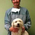 Entreprises 11 image CEDARWOOD VETERINARY HOSPITAL Veterinarians dans Red Deer AB