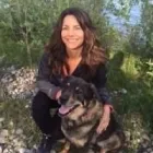 Entreprises 26 image CEDARWOOD VETERINARY HOSPITAL Veterinarians dans Red Deer AB